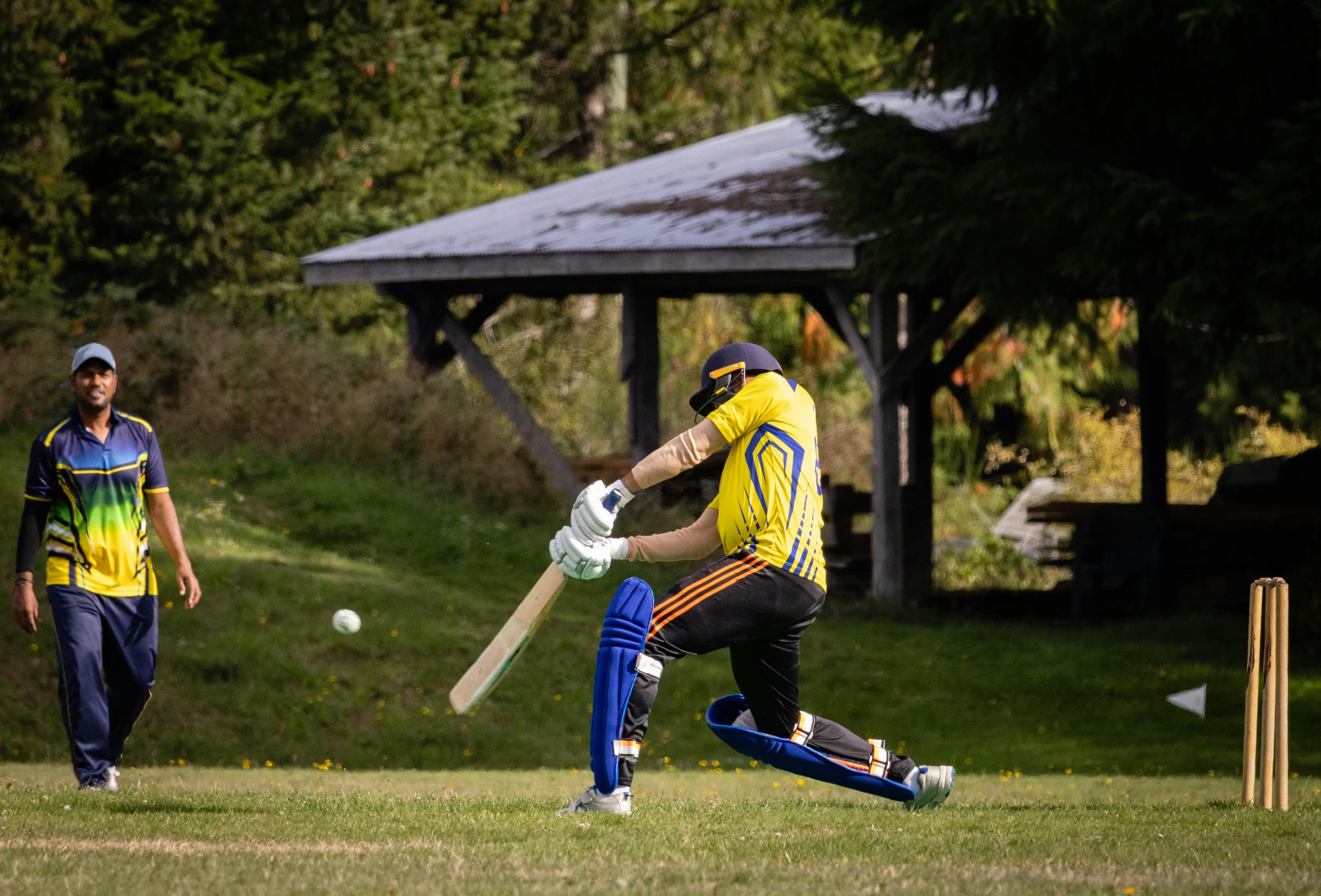 Cricket